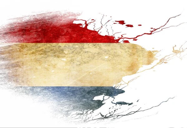 Nederlandse vlag — Stockfoto