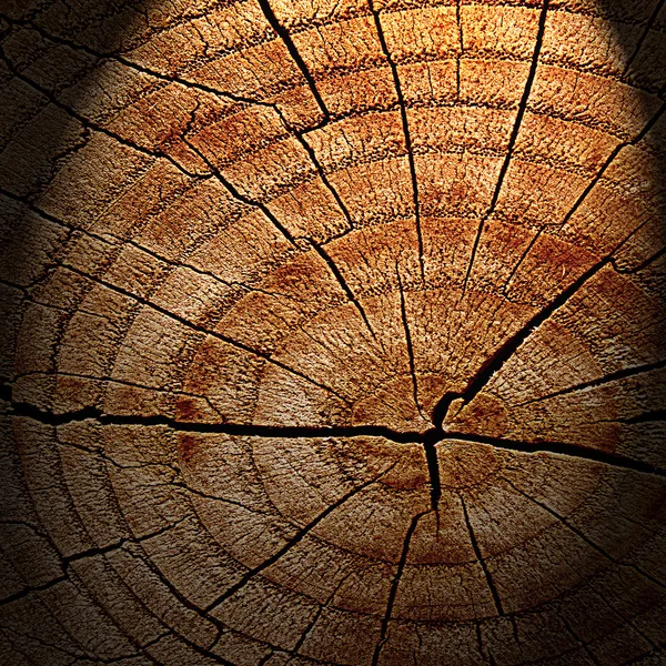 Textura de madeira — Fotografia de Stock