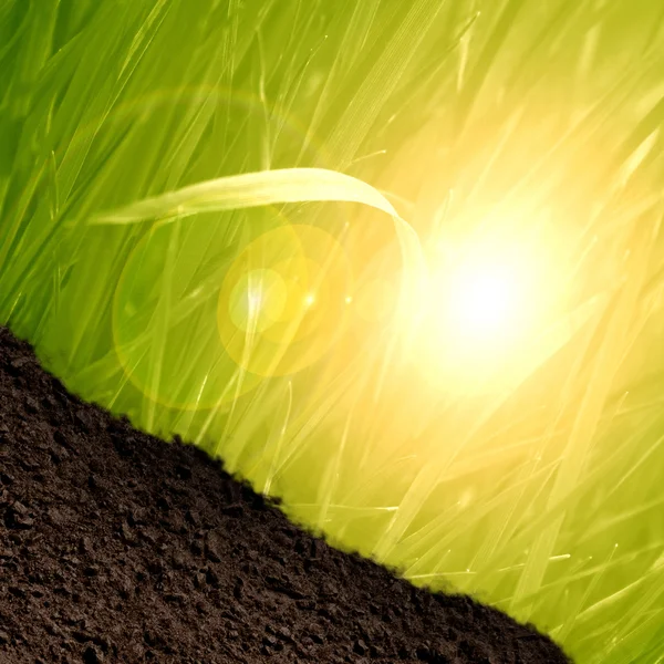 Grass and soil — Stock Photo, Image