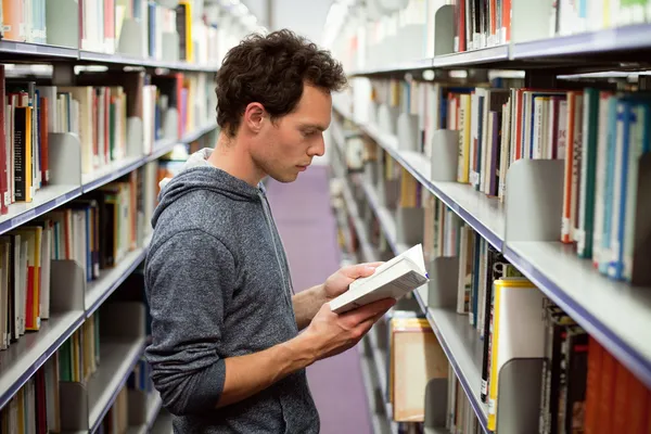 Biblioteca — Foto de Stock