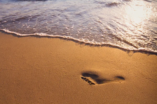 FOOTPRINT OM BEACH — Stockfoto