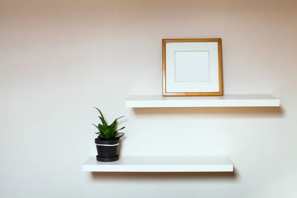Two shelves with frame and flowerpot — Stock Photo, Image