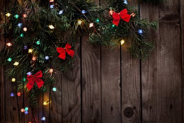 oyuncaklar ve ışıklar ile Noel ağacı dalı