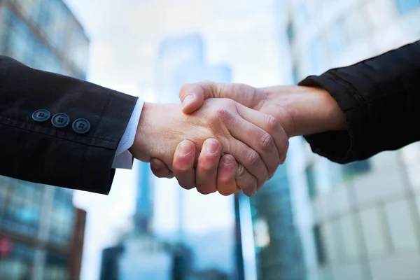 Handshake of two businessmen — Stock Photo, Image