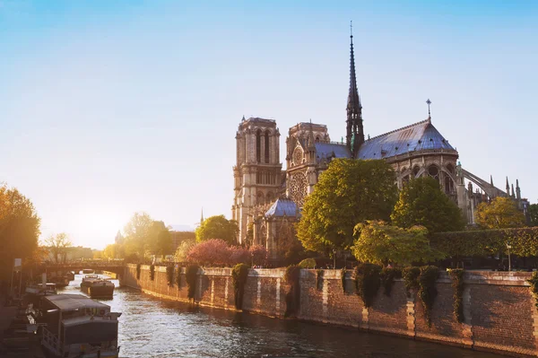 Kathedraal bij zonsondergang — Stockfoto