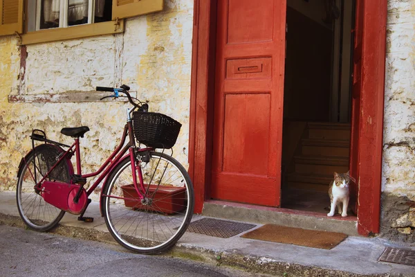 Fiets- en kat — Stockfoto