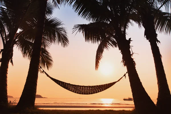 Hammock and palm — Stock Photo, Image