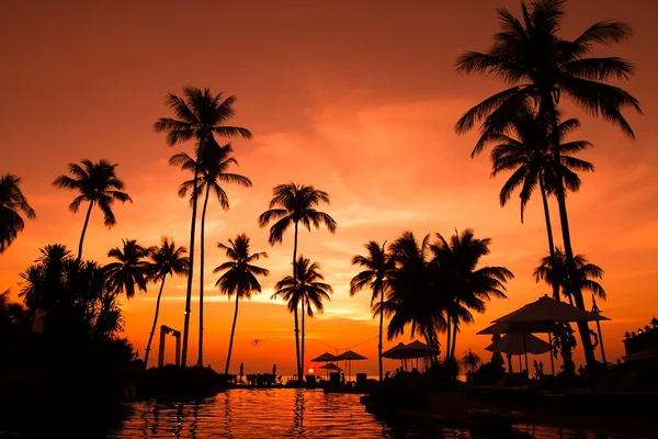 Tramonto sulla spiaggia — Foto Stock