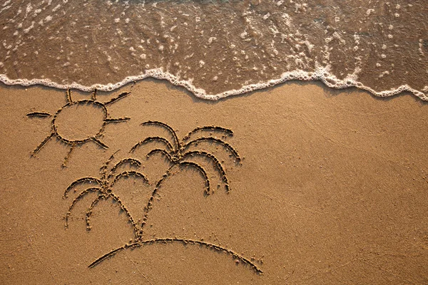 Palm trees on the sand — Stock Photo, Image