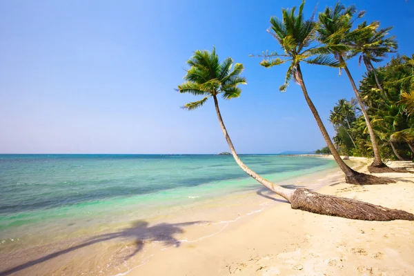 Tropikalna plaża — Zdjęcie stockowe