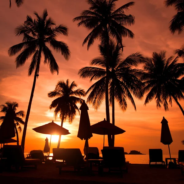 Mooi strand bij zonsondergang — Stockfoto