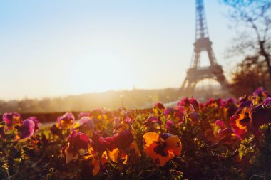 Eyfel Kulesi sıradışı görünümü