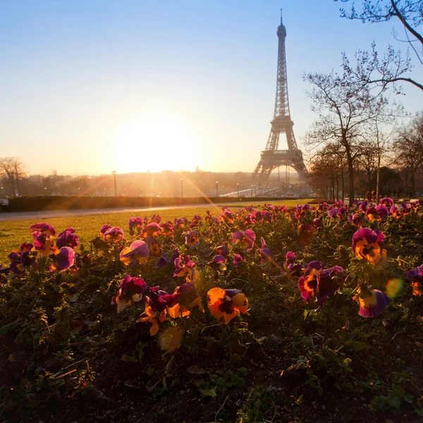 Flowers near Eiffel tower — Stock Photo, Image