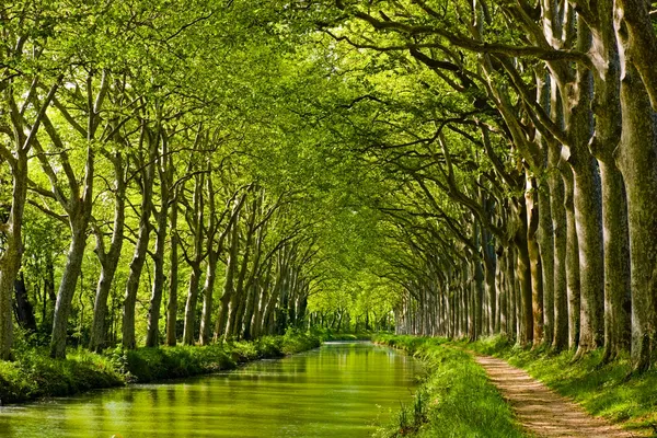 Våren titta på canal du Midis strand — Stockfoto