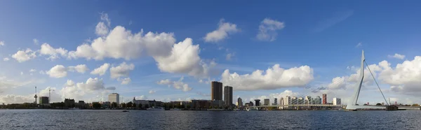 rotterdam manzarası ile köprü.