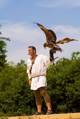 Falconer