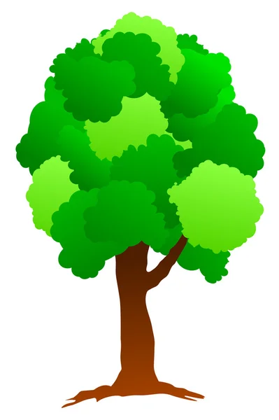 Taze yeşil ağaç — Stok fotoğraf