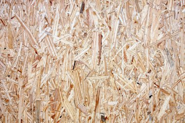OSB (doku)