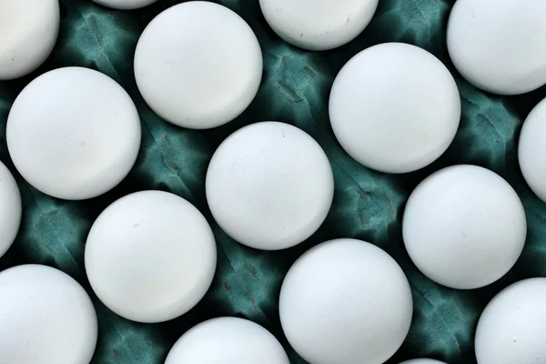 Blanco de huevo —  Fotos de Stock
