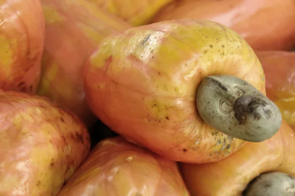 Cashew — Stock Photo, Image