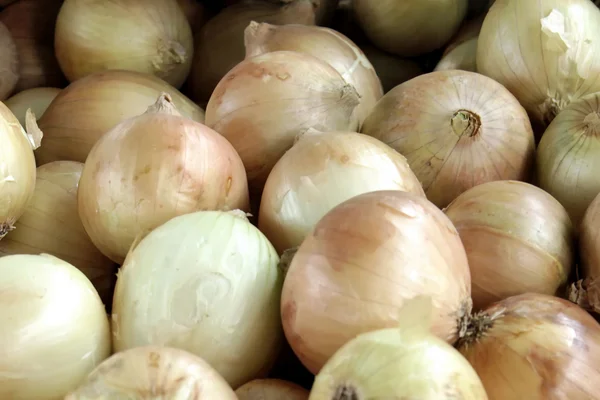 Onions — Stock Photo, Image