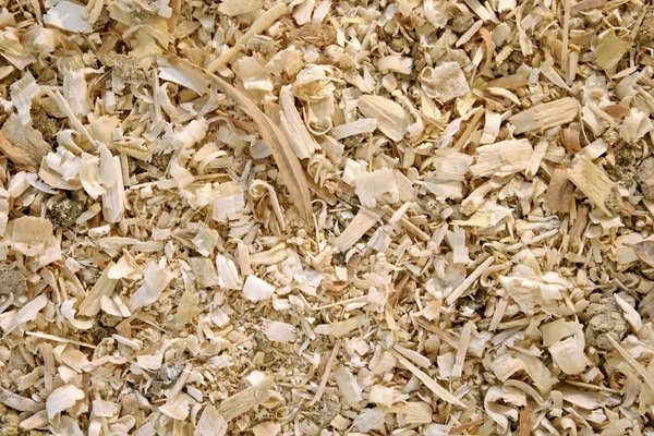 Sawdust animal bedding (Texture) — Stock Photo, Image