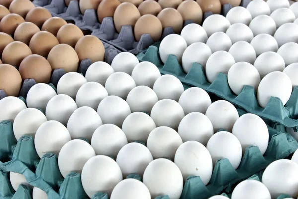 Eggs — Stock Photo, Image