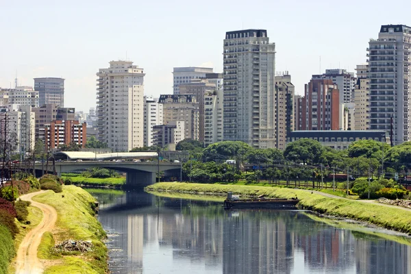 Staden och floden - sao paulo, Brasilien — Stockfoto