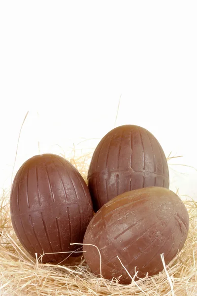 Easter eggs and nest — Stock Photo, Image