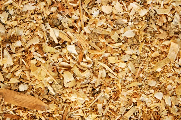 Sawdust animal bedding (Texture) — Stock Photo, Image