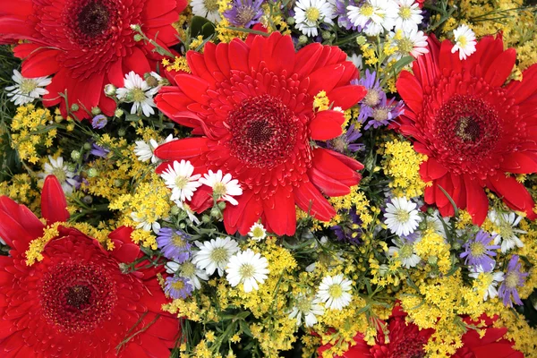 Blomsterodling — Stockfoto