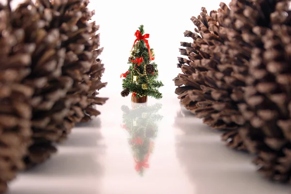 Pine kerstboom en kegels — Stockfoto