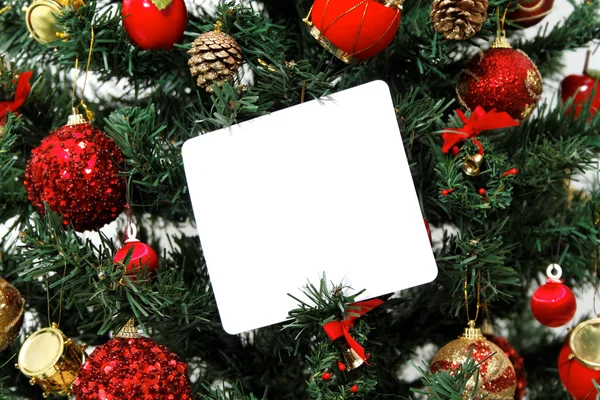 Mensagem árvore de Natal — Fotografia de Stock