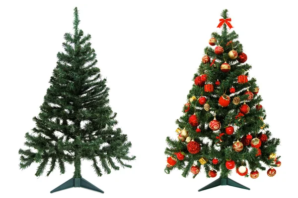 Before and after - Christmas tree — Stock Photo, Image