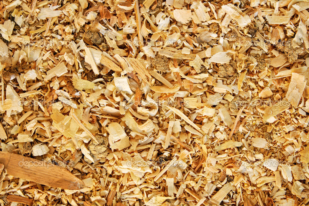 Sawdust animal bedding (Texture) — Stock Photo © lucato 12605784