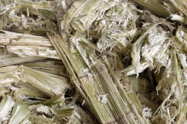 Cane kağıt hamuru detay