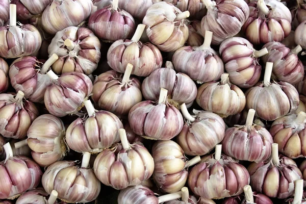 Garlic — Stock Photo, Image