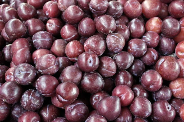 Plums — Stock Photo, Image