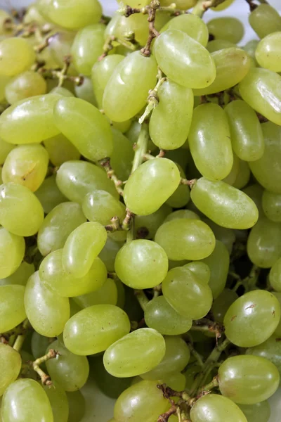 Italian grapes — Stock Photo, Image