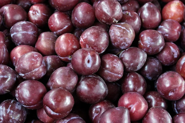 Plums — Stock Photo, Image