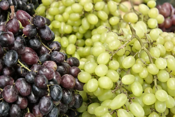 Uvas — Fotografia de Stock