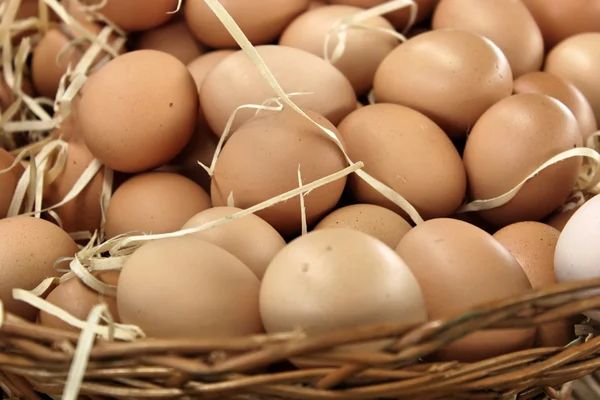 Huevos marrones en una cesta — Foto de Stock