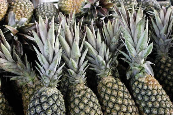 Pineapple fruit — Stock Photo, Image