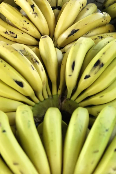 Plátanos producen primer plano — Foto de Stock