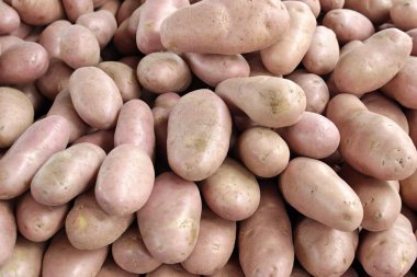 pembe patates