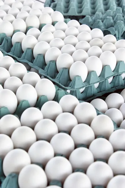 Egg white — Stock Photo, Image