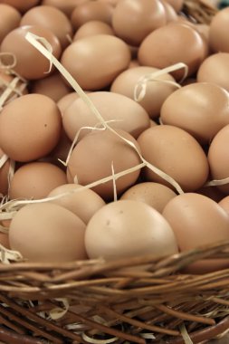 Sepette kahverengi yumurtalar