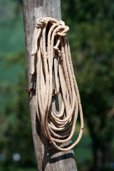 Hung rope close-up — Stock Photo, Image