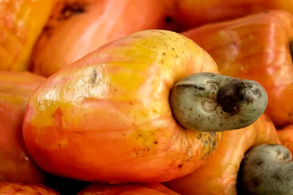 Cashew — Stock Photo, Image