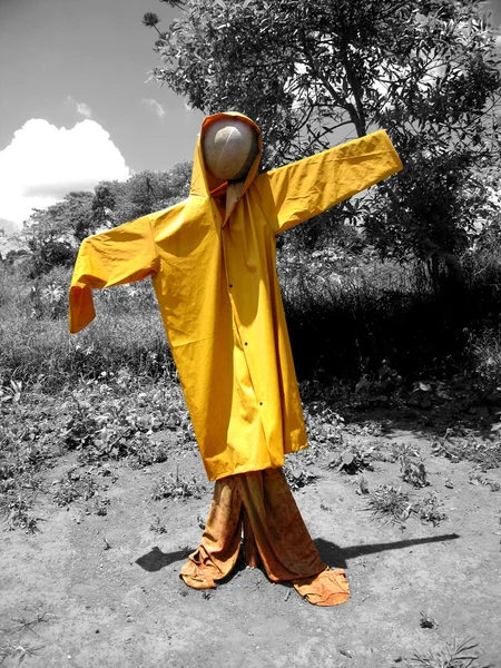 Scarecrow — Stock Photo, Image